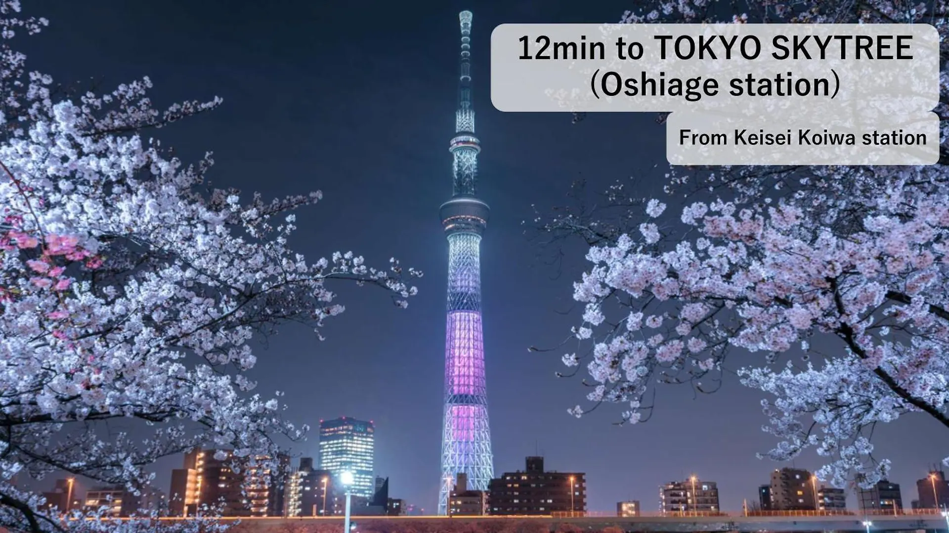 Apartment Asahistay -Koiwa, Free Parking O, Whole Family House, Japanese Garden Taste Tokyo Japan